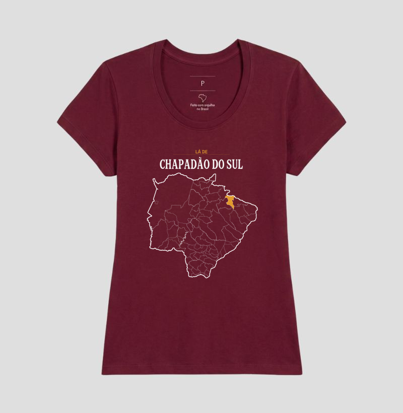 Chapadão do Sul | Território MS - Imagem 19