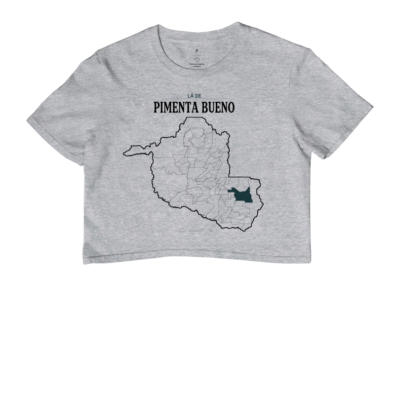 Pimenta Bueno | Território RO - Imagem 6