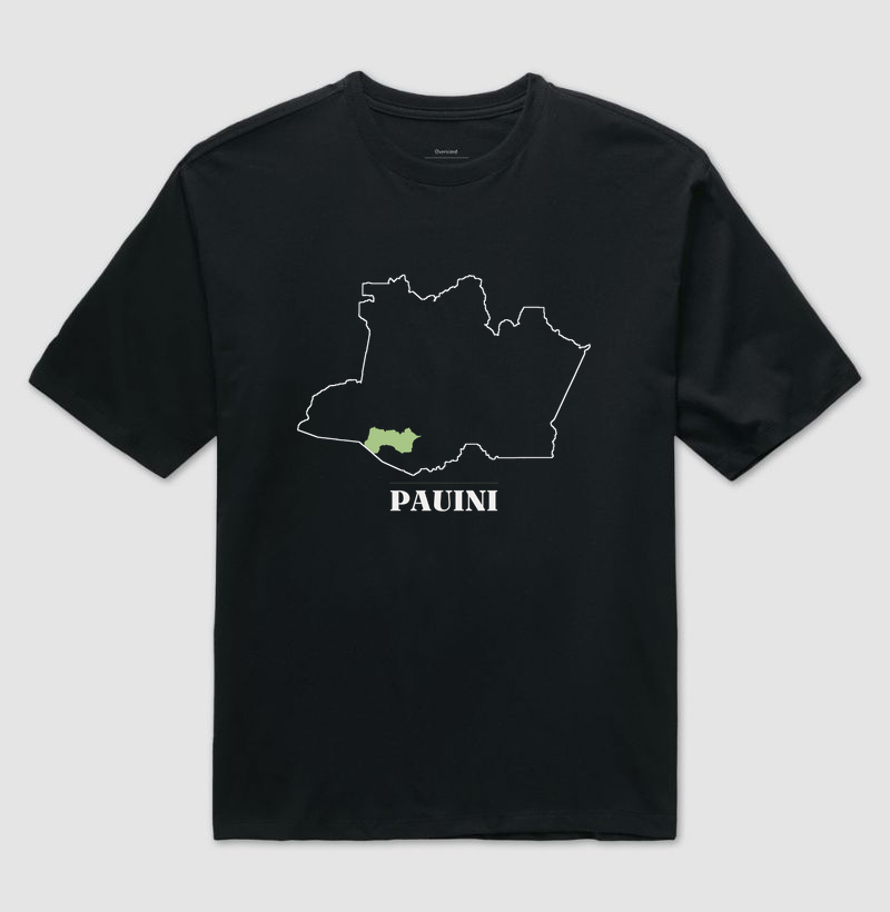 Pauini | Traço AM - Imagem 2