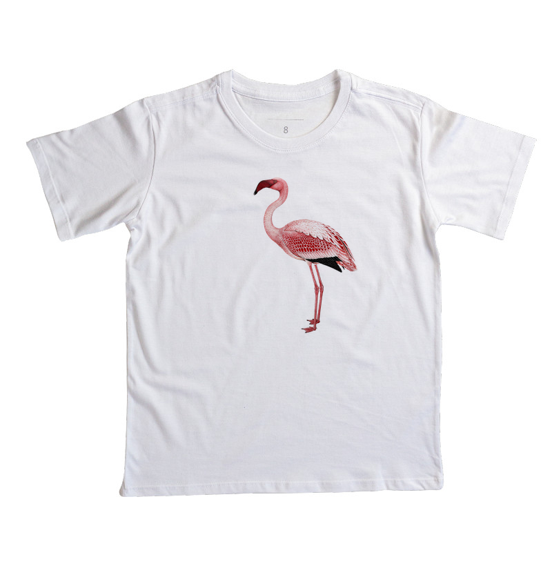 Flamingo - Imagem 5