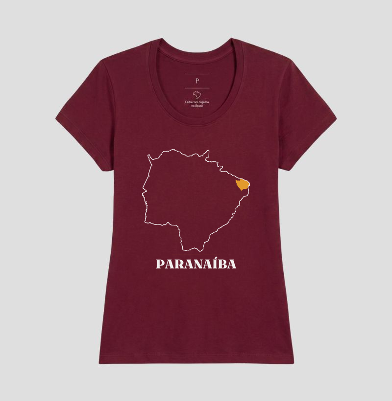 Paranaíba | Traço MS - Imagem 19