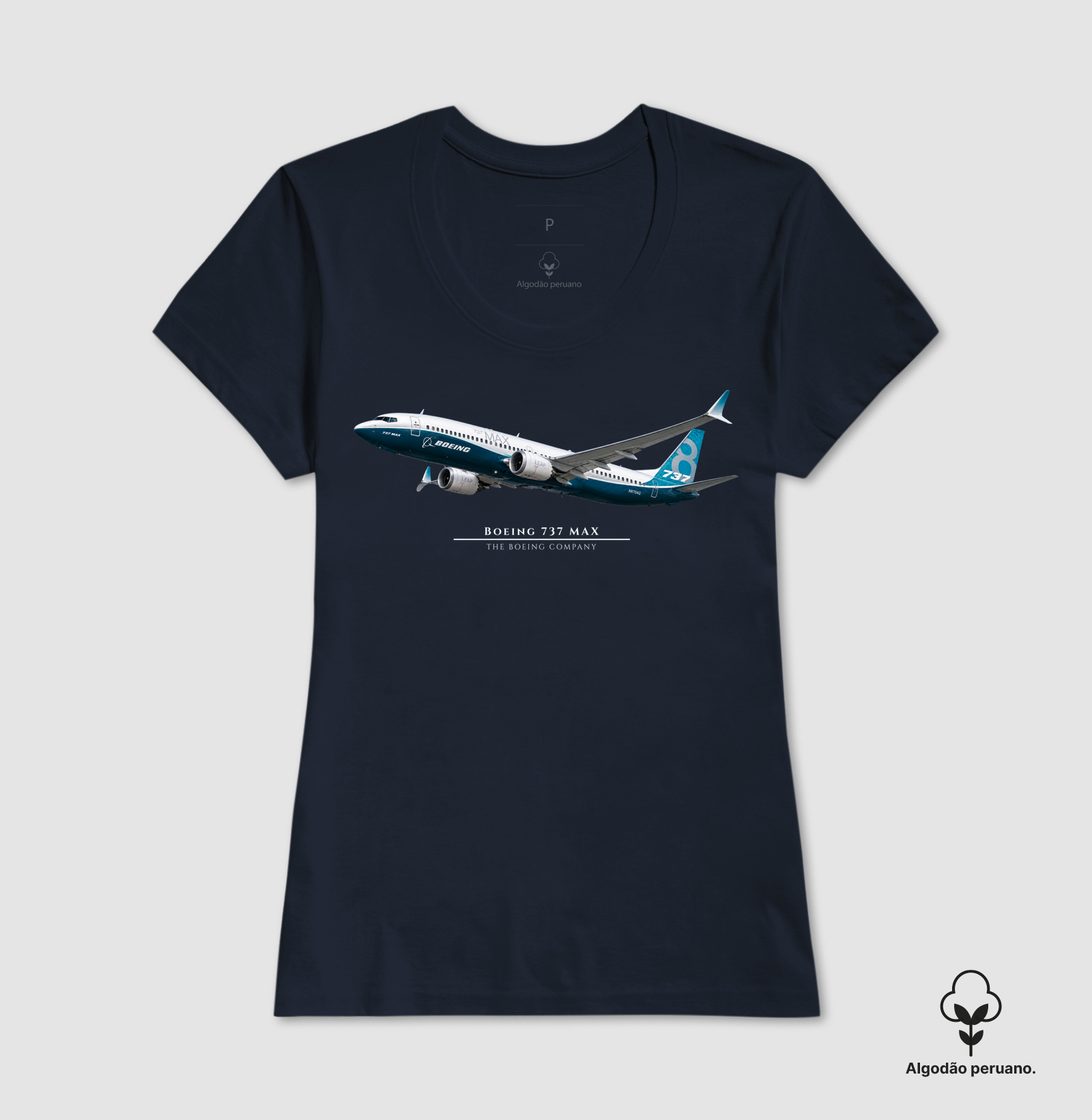 Boeing 737 MAX - Imagem 8