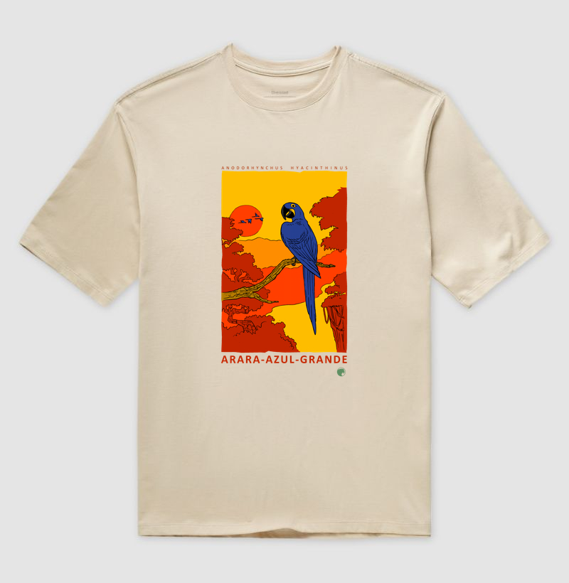 Arara-azul - Imagem 4