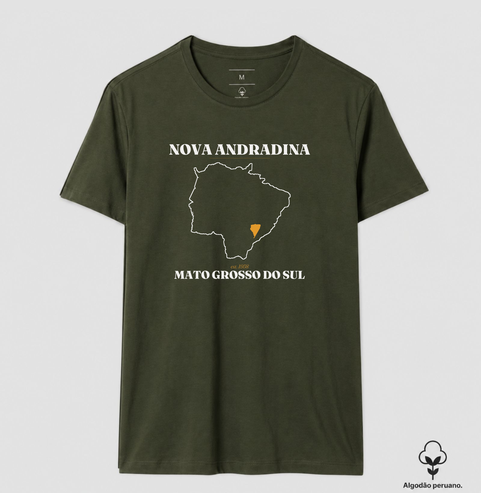 Nova Andradina | Legado MS - Imagem 8