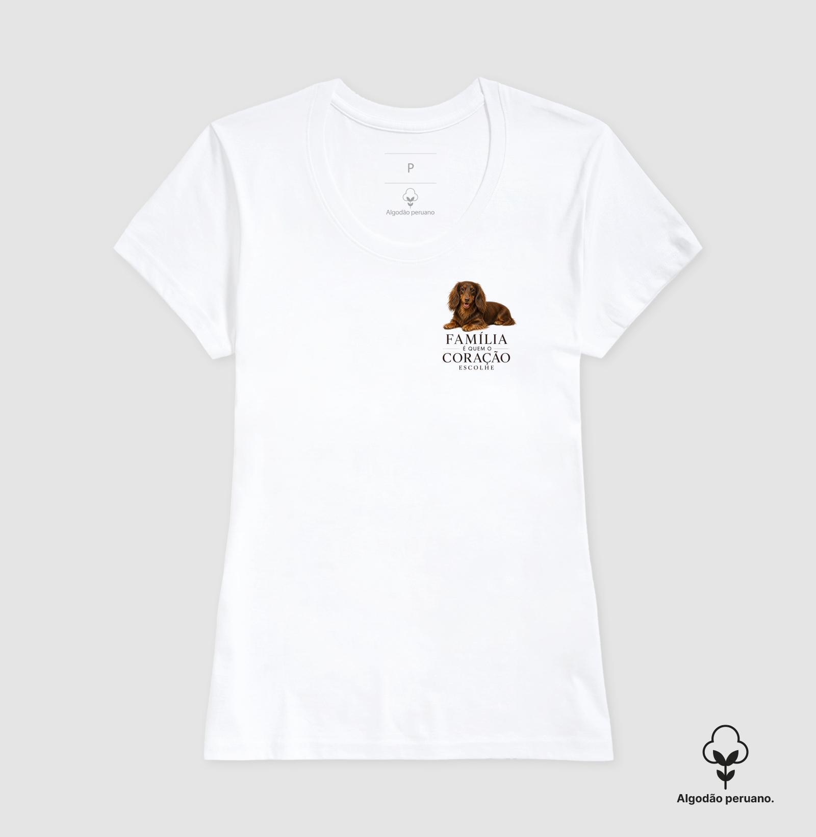Dachshund Pelo Longo Marrom - Família - Imagem 6
