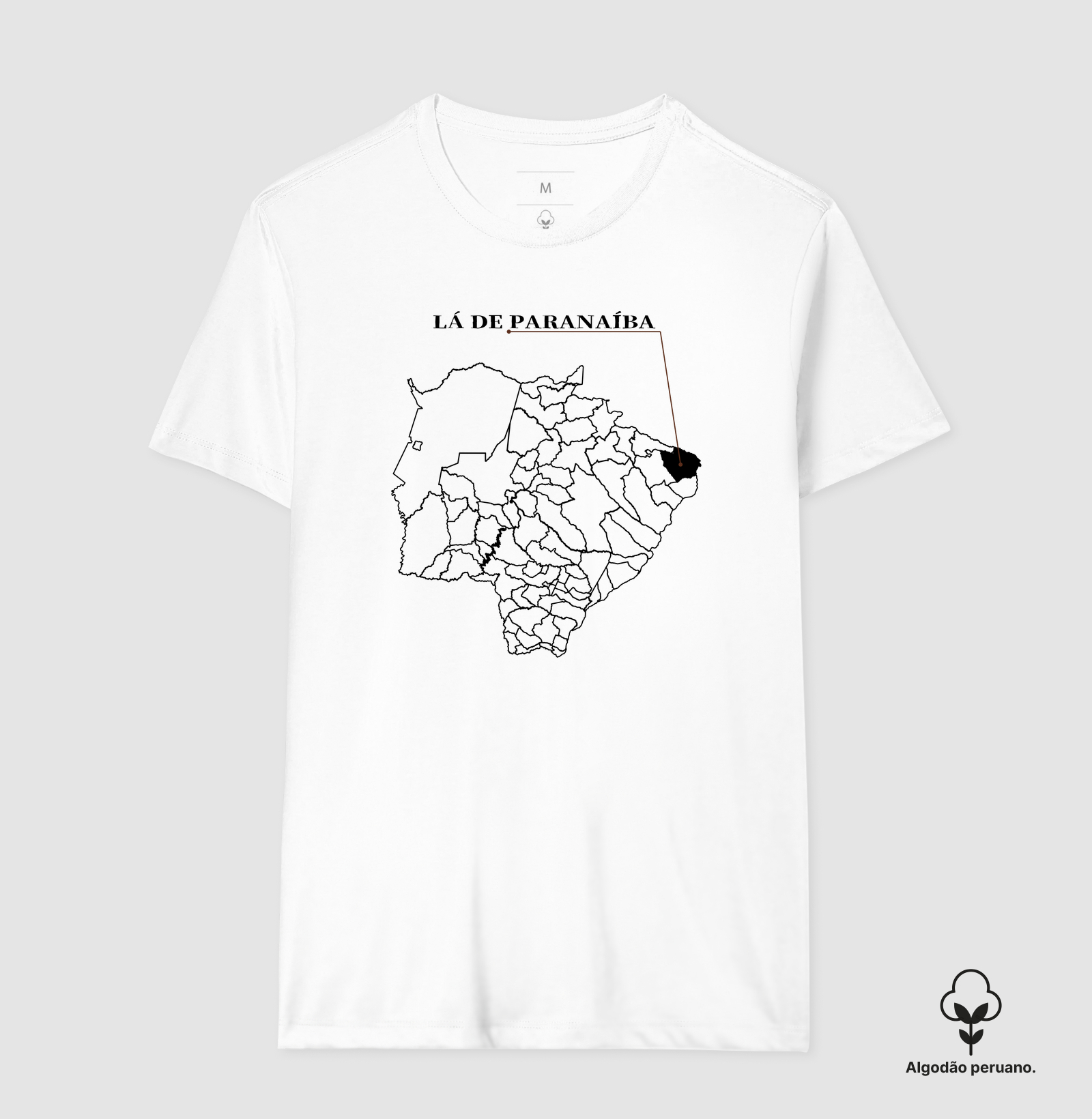 Paranaíba | Origem MS - Imagem 4