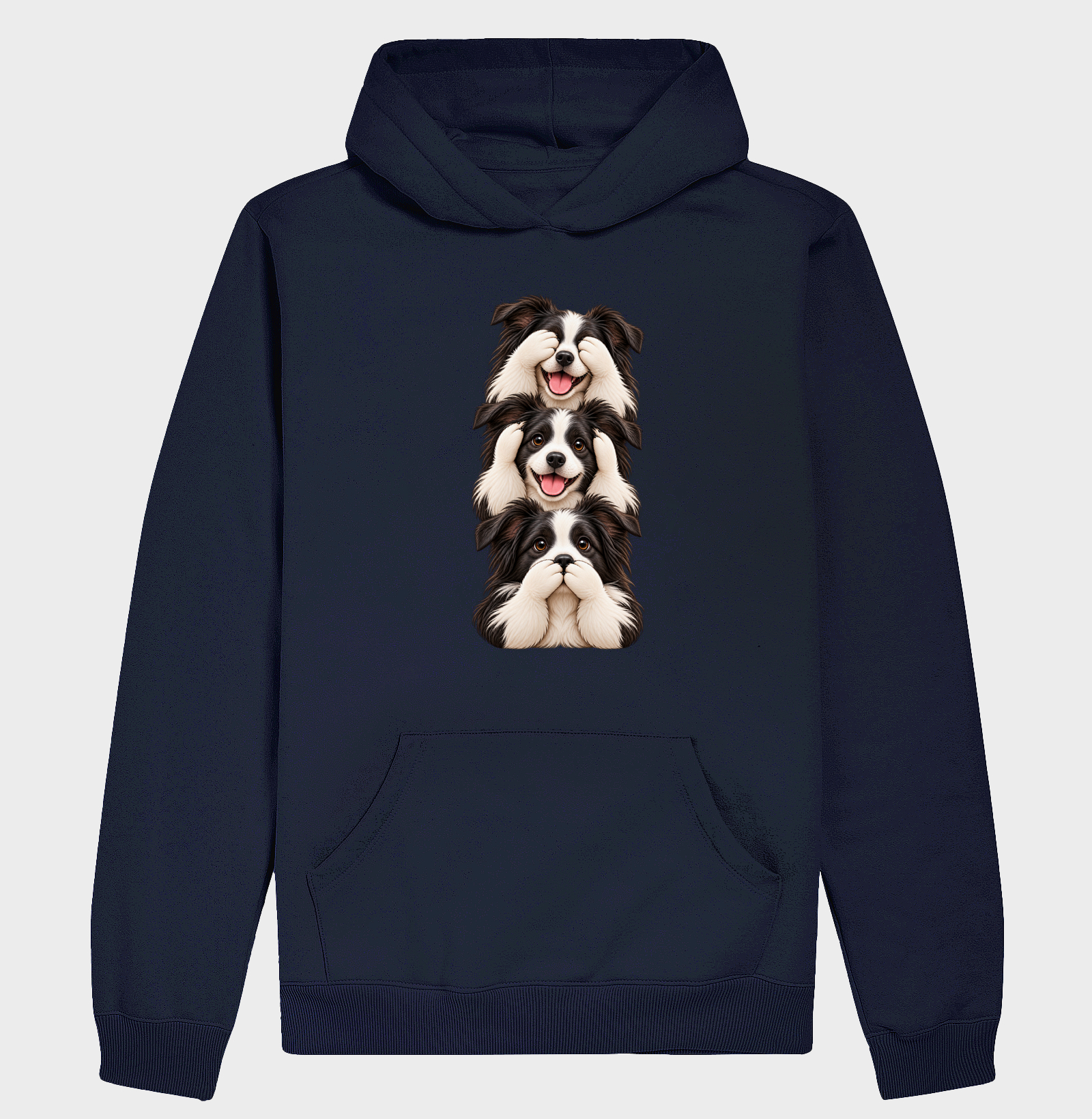 Ver, ouvir e falar Border Collie - Imagem 4
