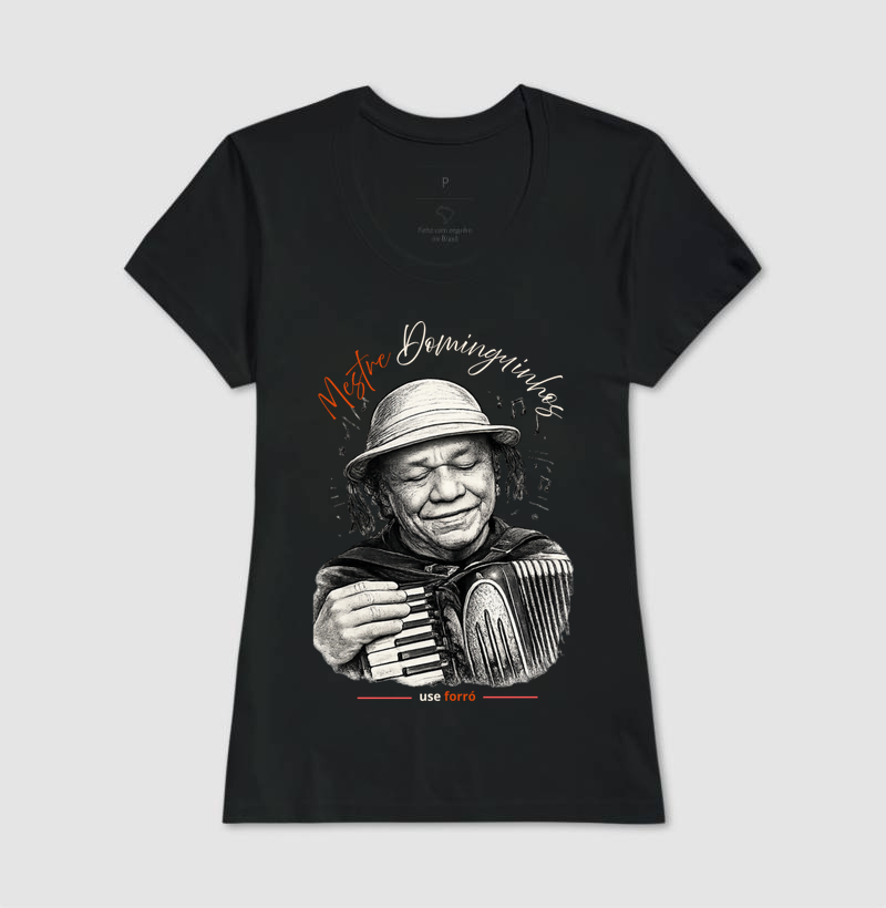 Mestre Dominguinhos - Imagem 3