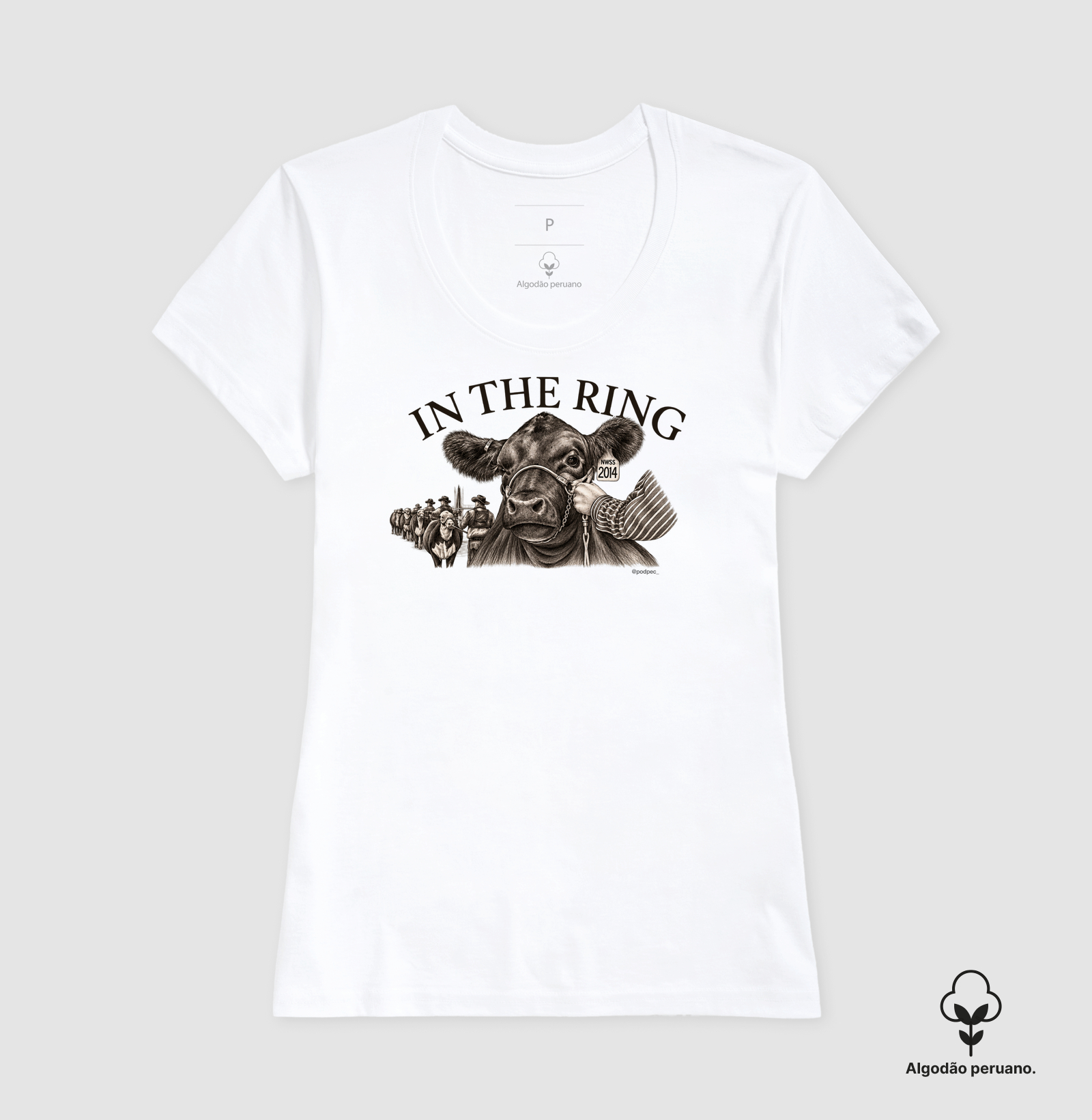 In The Ring - Imagem 2