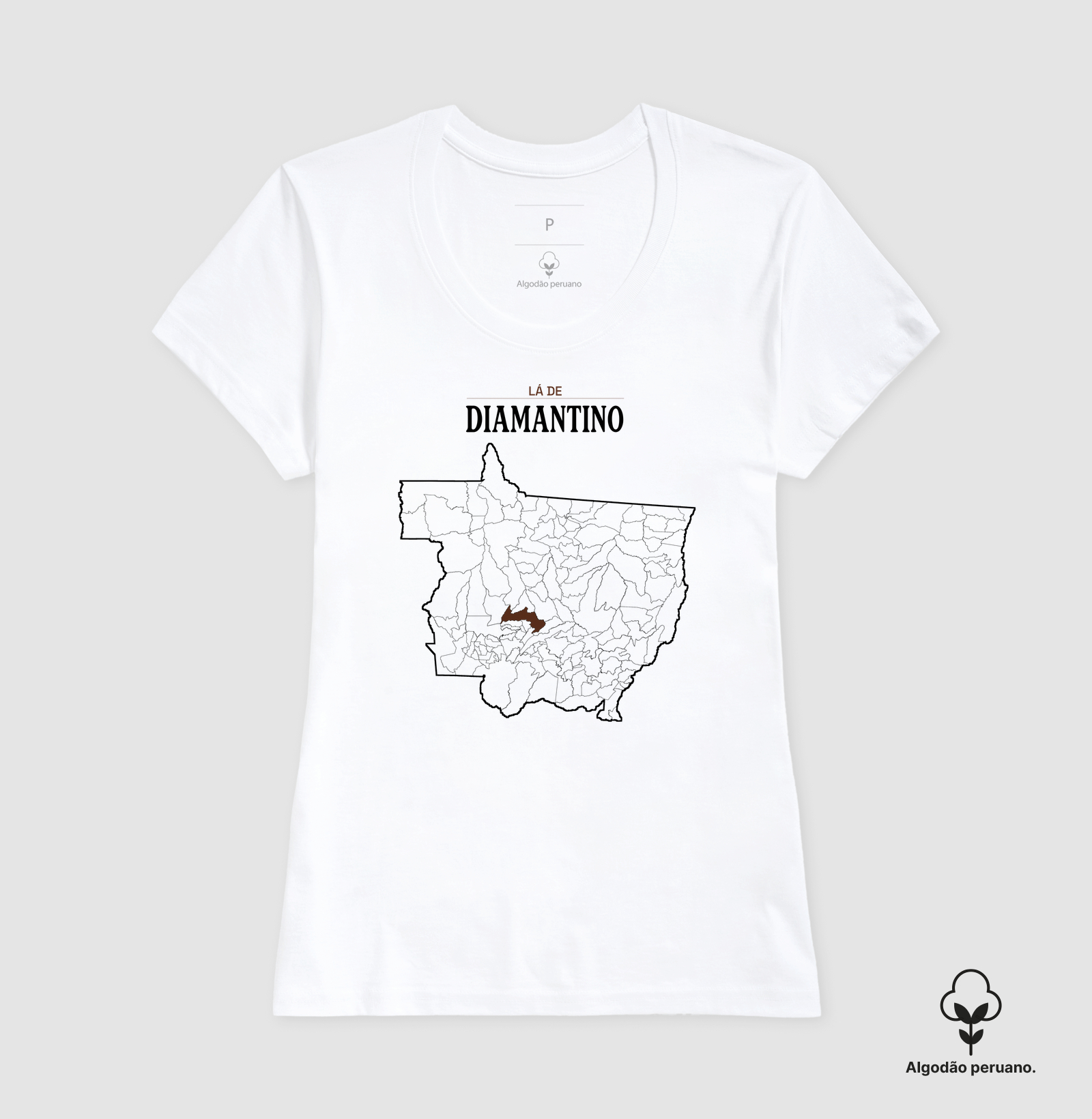 Diamantino | Território MT - Imagem 8