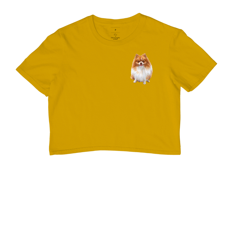 Pomerânia Laranja e Branca Minimalista - Imagem 8