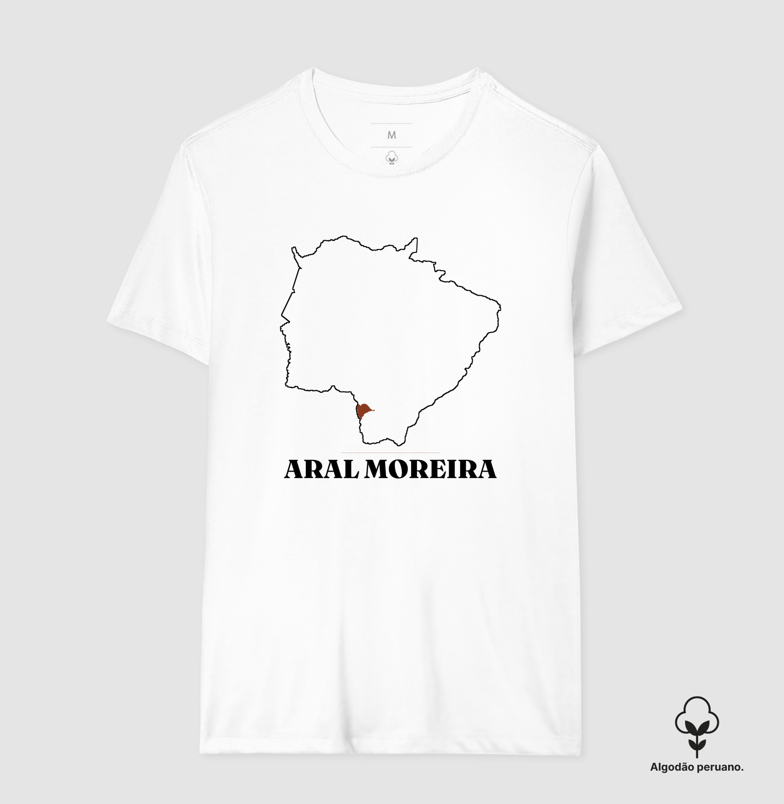 Aral Moreira | Traço MS - Imagem 5