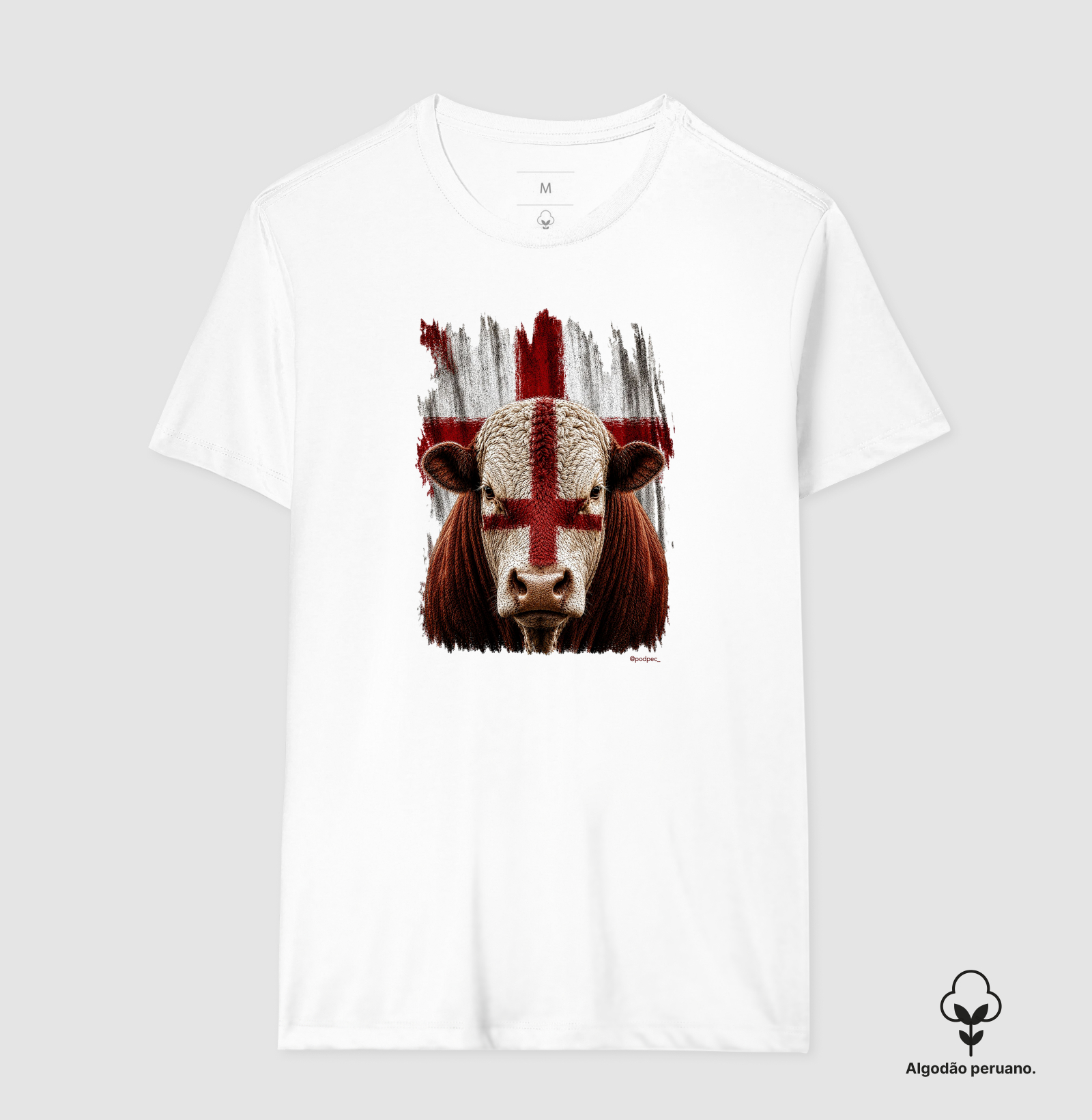 Hereford da Inglaterra - Imagem 4