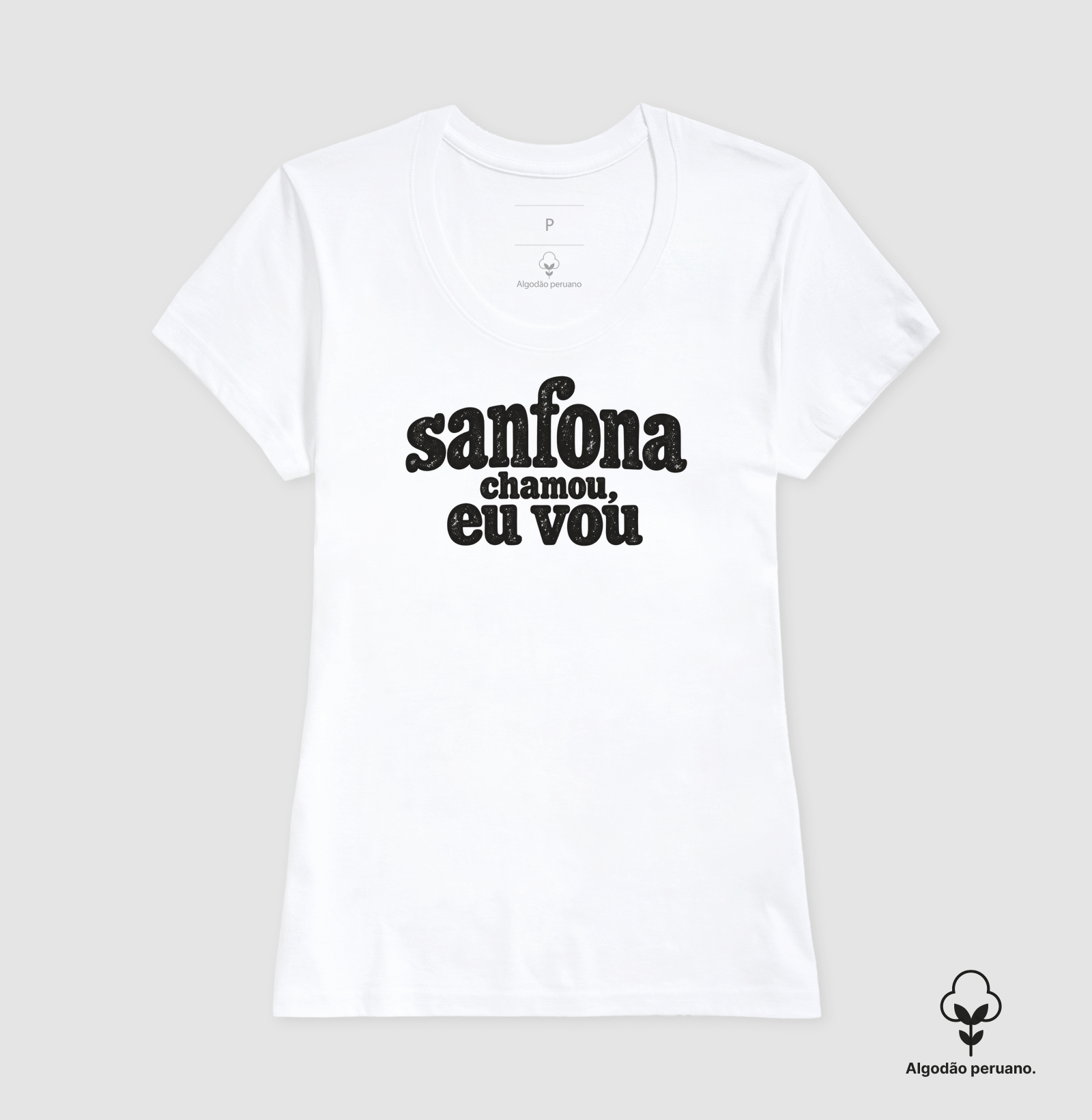 Sanfona chamou, eu vou - Imagem 7