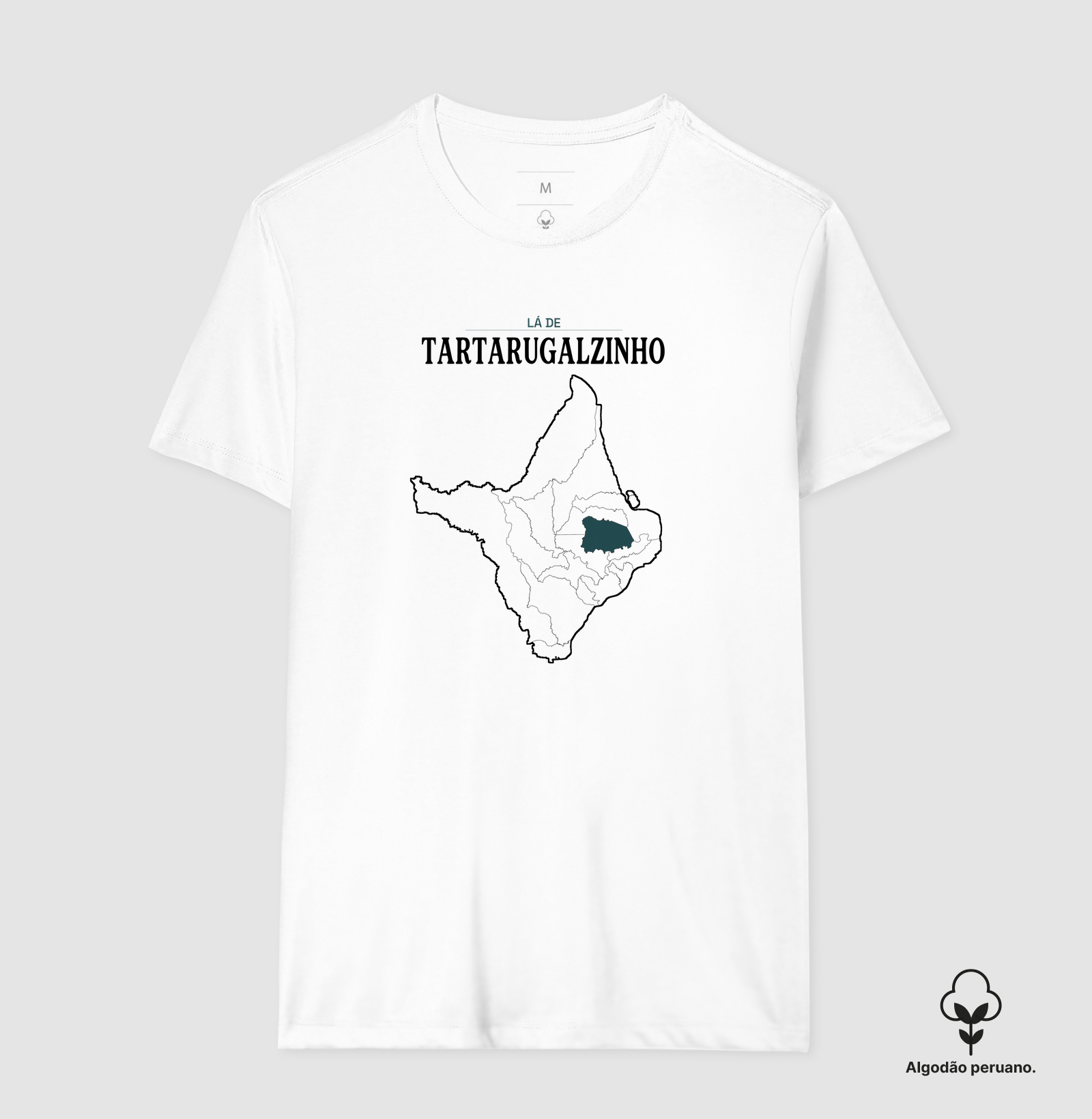 Tartarugalzinho | Território AP - Imagem 7