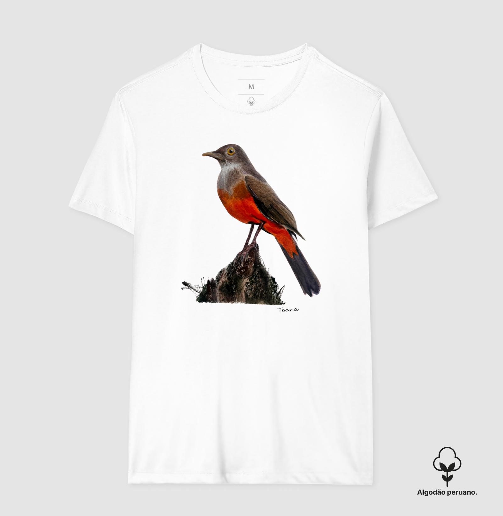 Camiseta Sabiá-Laranjeira – Aves do Brasil - Algodão Peruano - Imagem 7