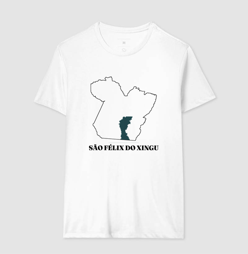 São Félix do Xingu | Traço PA - Imagem 4