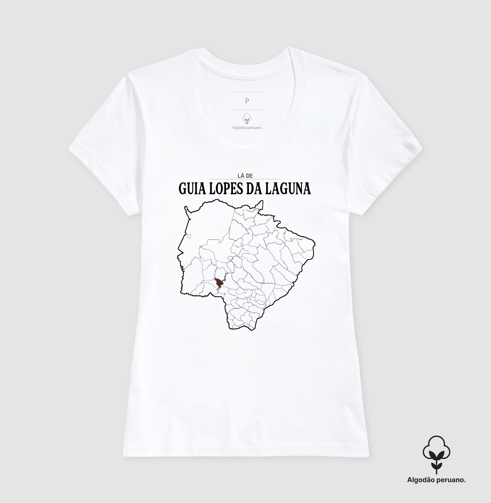 Guia Lopes da Laguna | Território MS - Imagem 6