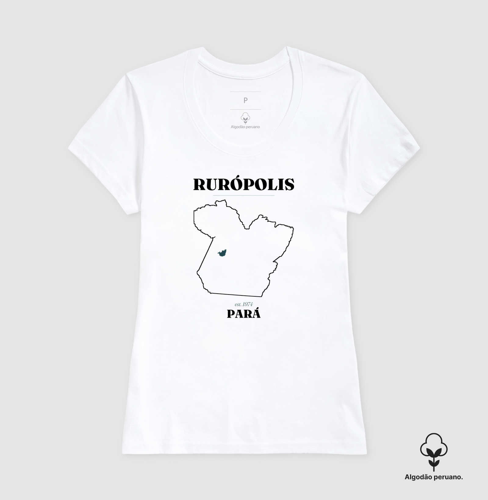 Rurópolis | Legado PA - Imagem 9
