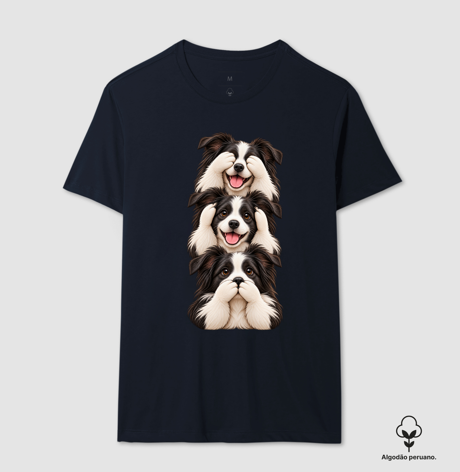 Ver, ouvir e falar Border Collie - Imagem 8