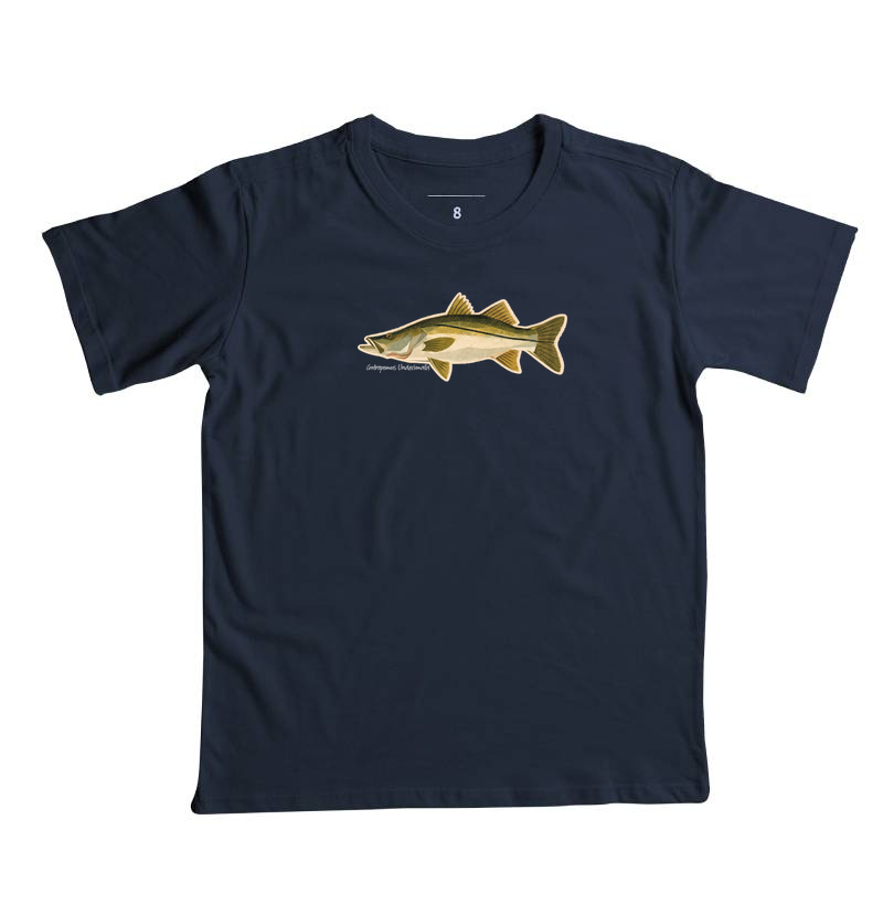 Robalo - Imagem 2