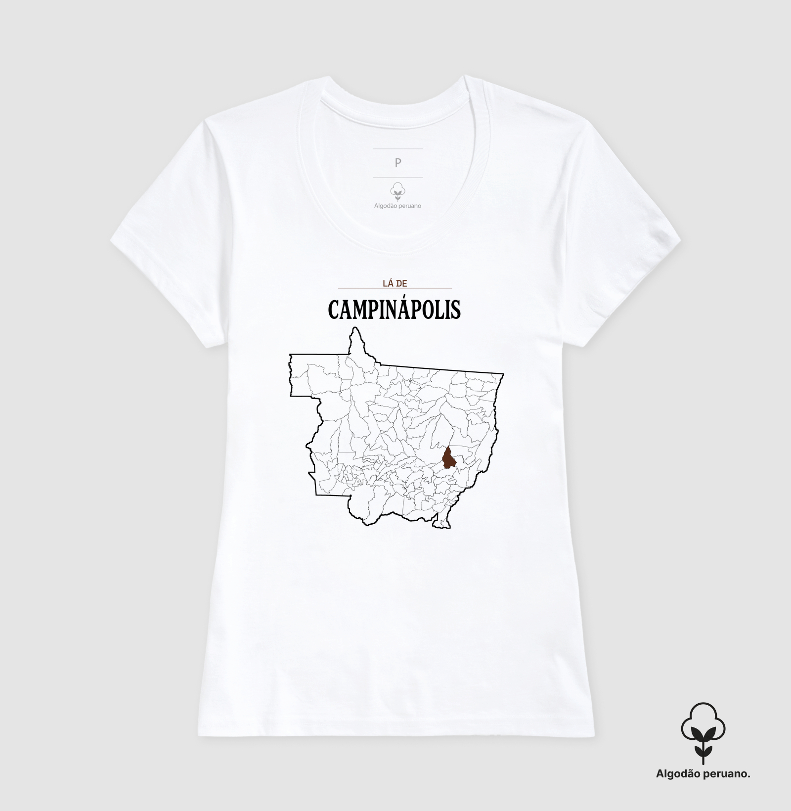 Campinápolis | Território MT - Imagem 4