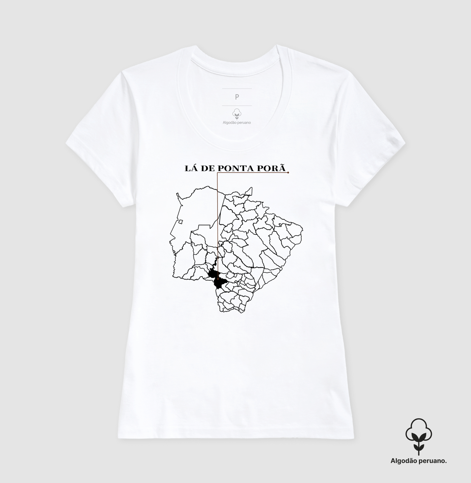 Ponta Porã | Origem MS - Imagem 8