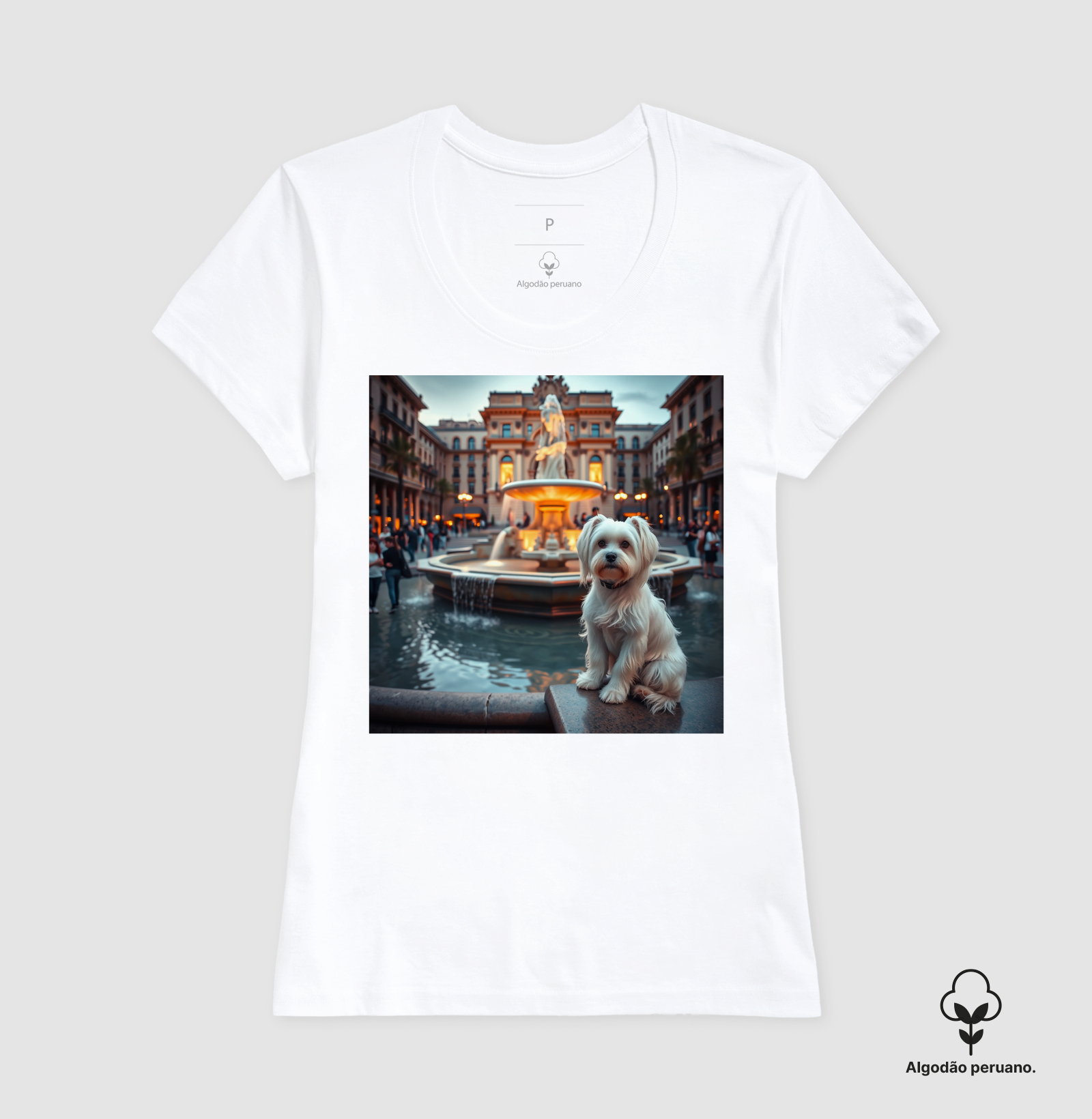 Camisa 6
