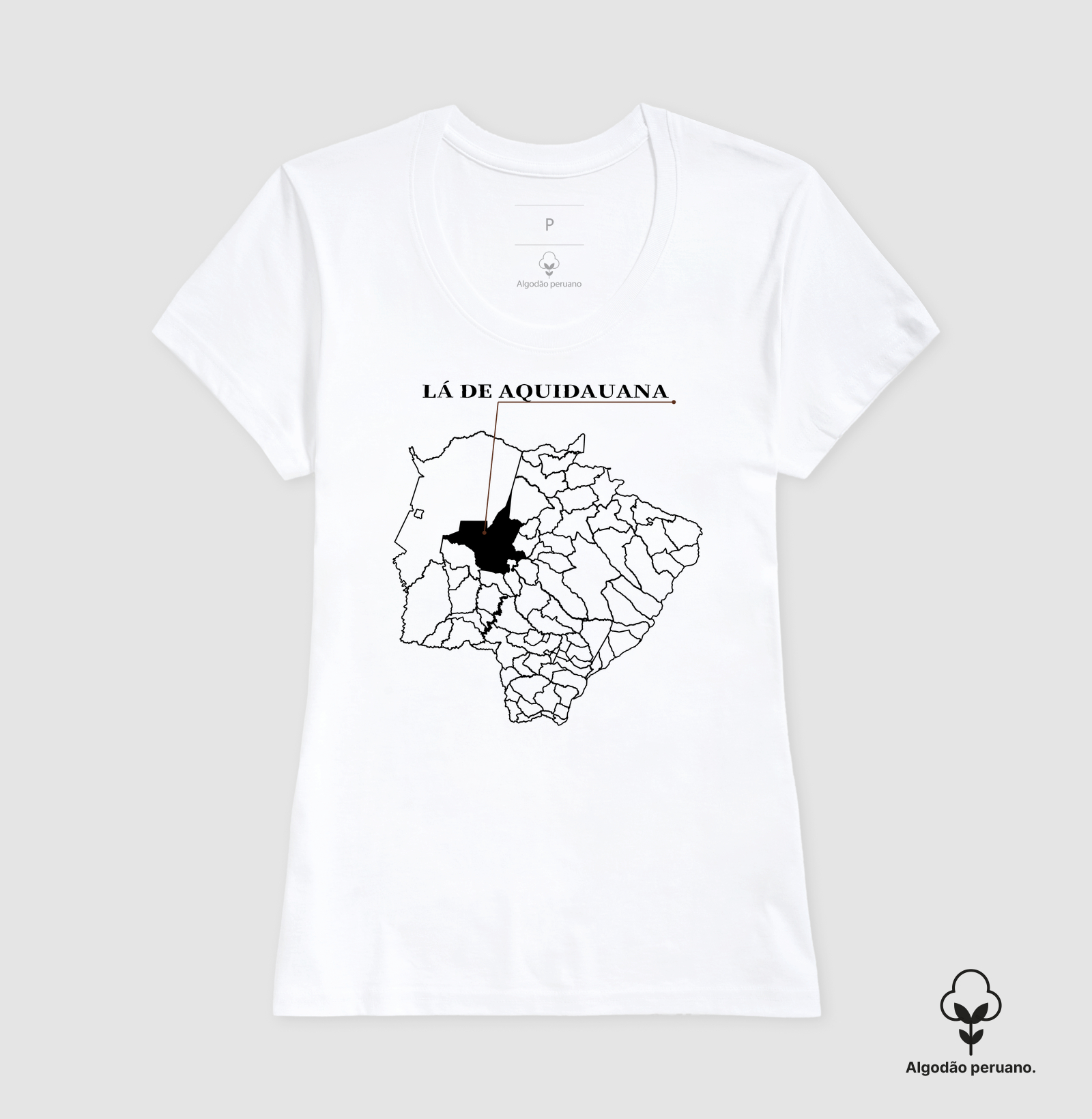 Aquidauana | Origem MS - Imagem 3