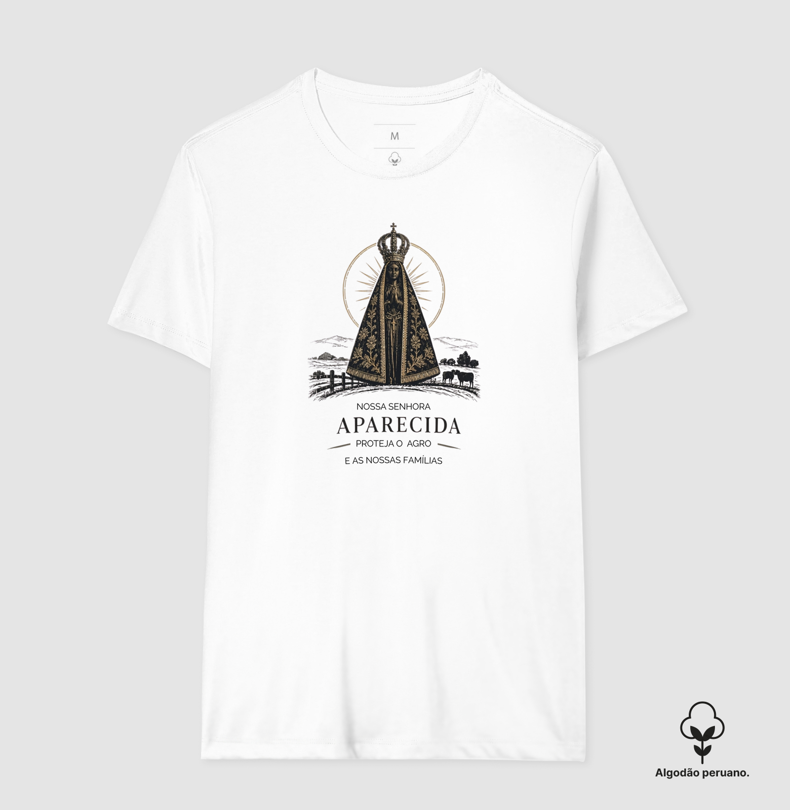 Nossa Senhora Aparecida - Imagem 2