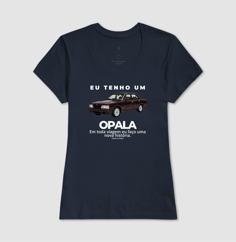 Eu tenho um Opala Diplomata vinho - Imagem 7