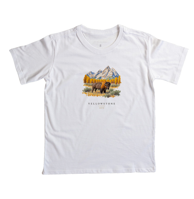 Bison - Yellowstone - Imagem 5