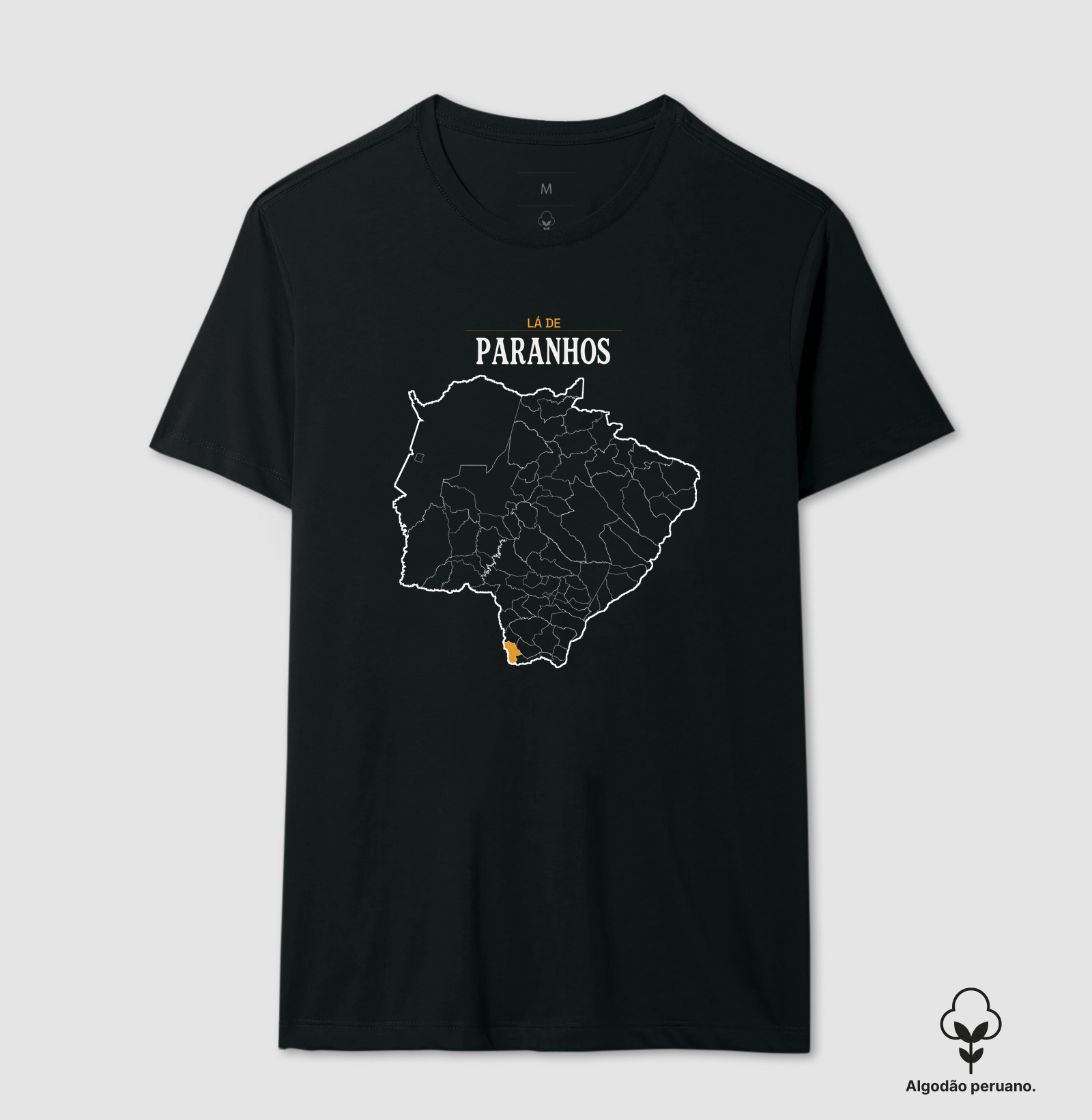 Paranhos | Território MS - Imagem 3
