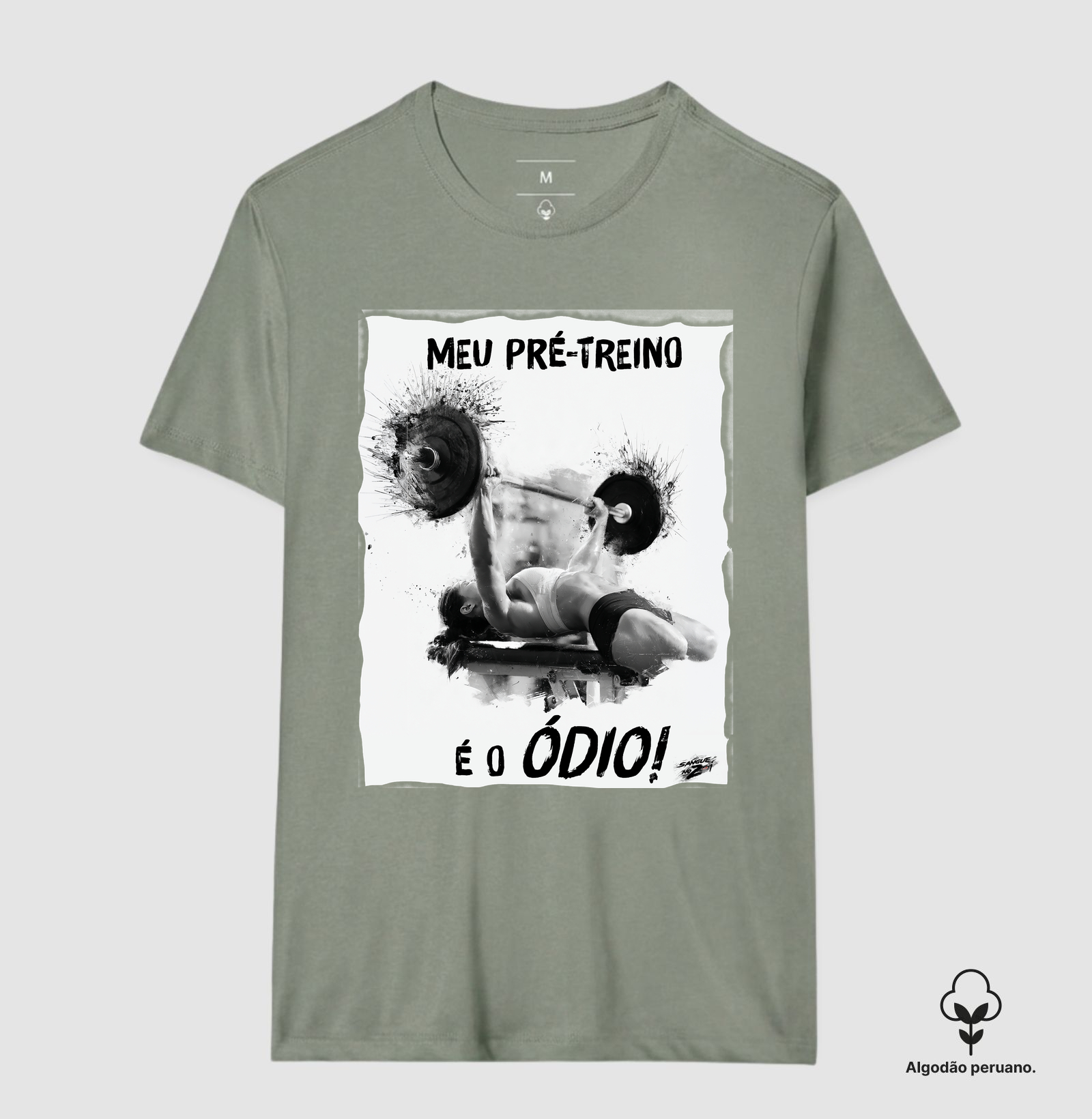 "MEU PRÉ-TREINO É O ÓDIO!". 03 - Imagem 9