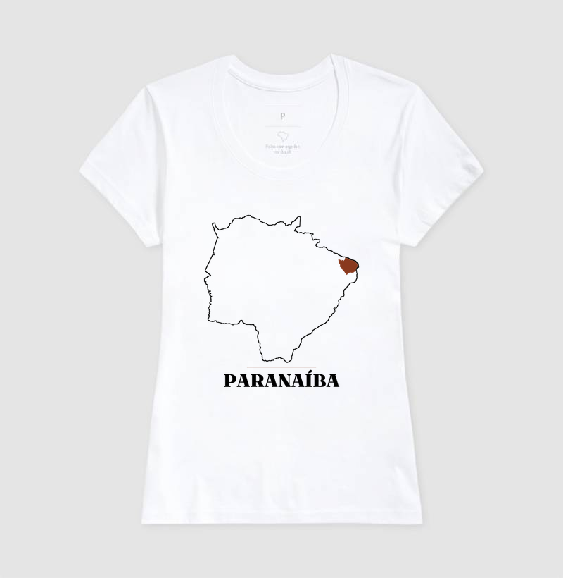 Paranaíba | Traço MS - Imagem 5