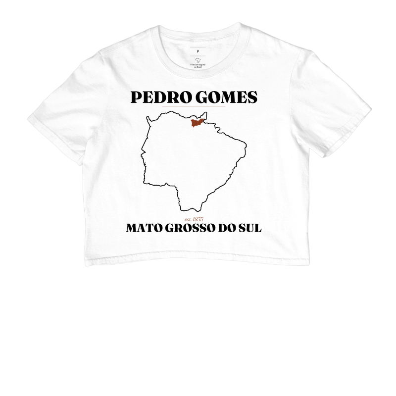 Pedro Gomes | Legado MS - Imagem 3