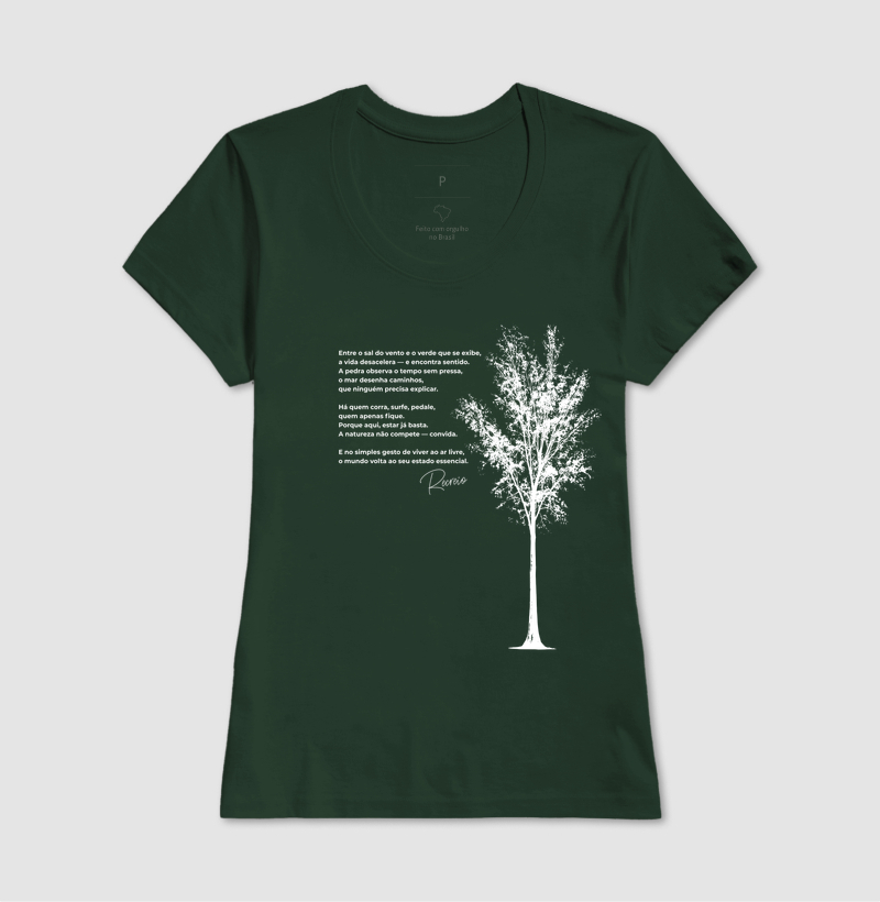 Casuarina - Imagem 9