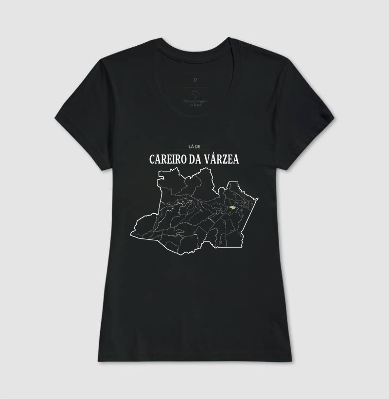 Careiro da Várzea | Território AM - Imagem 3
