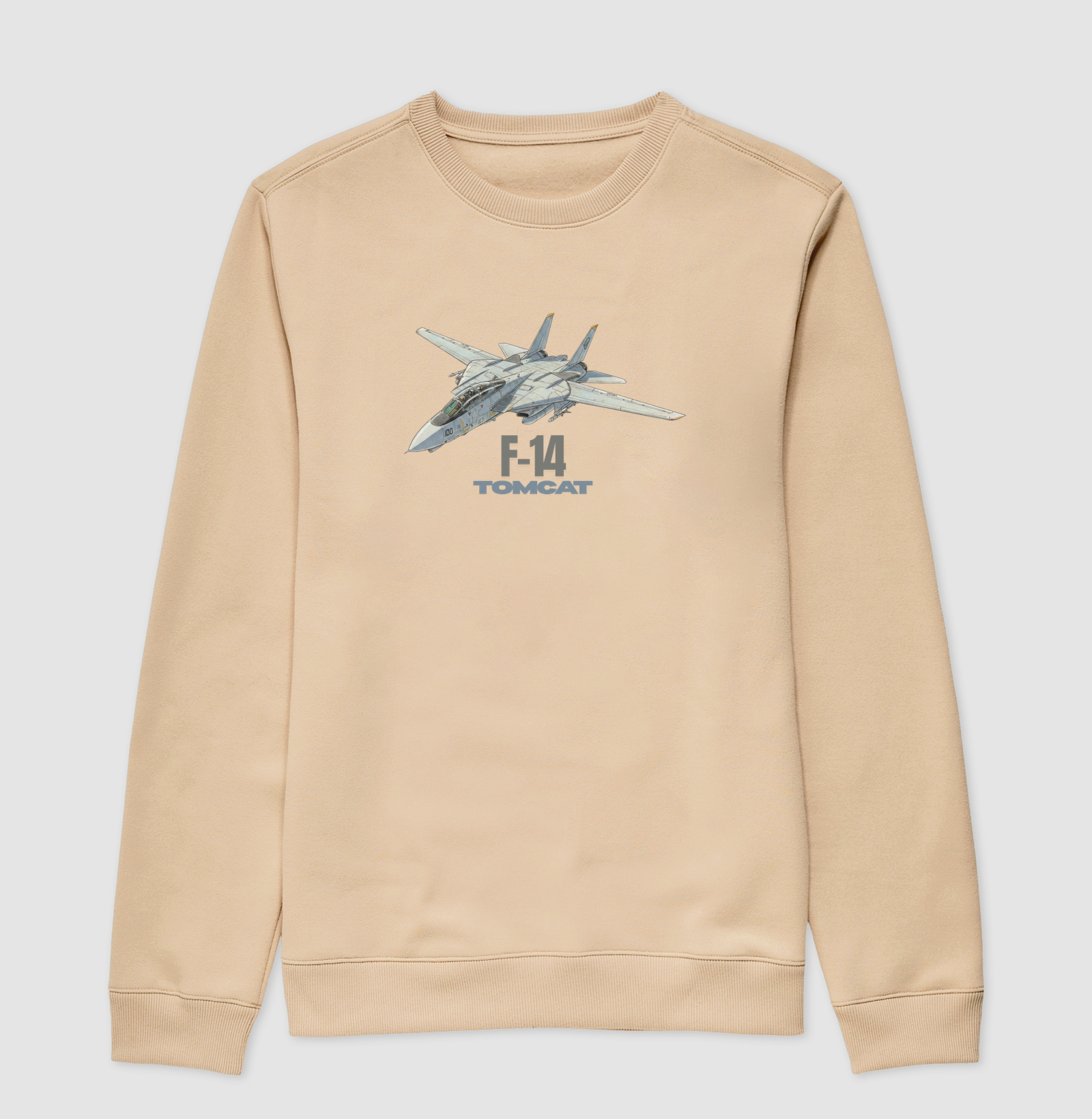 F-14 TOMCAT - Imagem 3