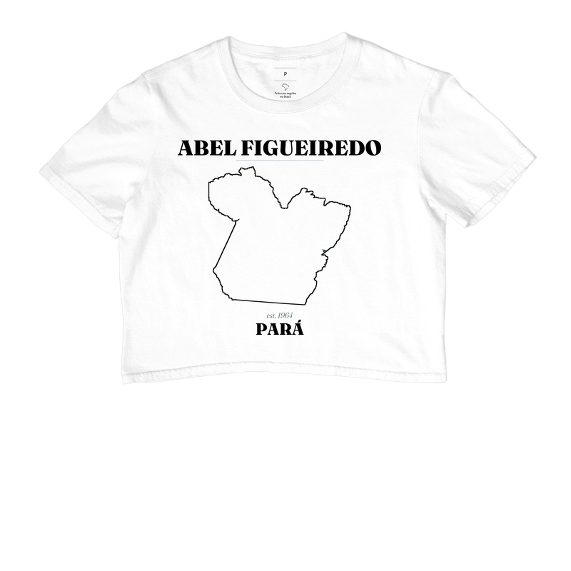 Abel Figueiredo | Legado PA - Imagem 3