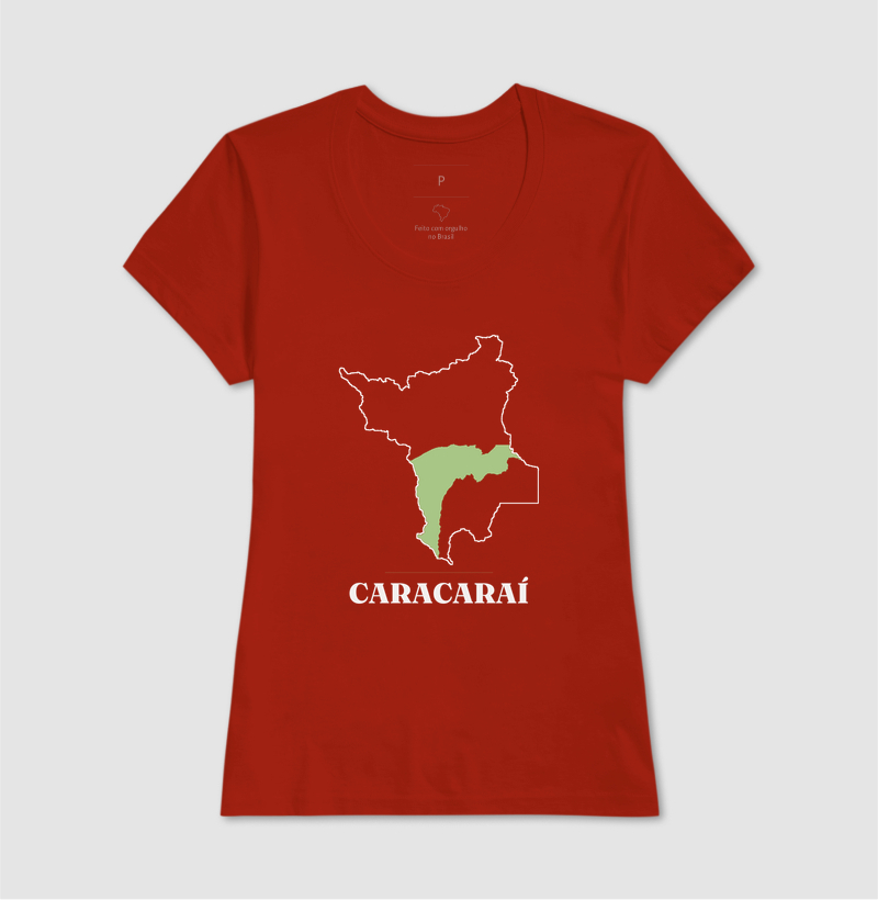 Caracaraí | Traço RR - Imagem 11