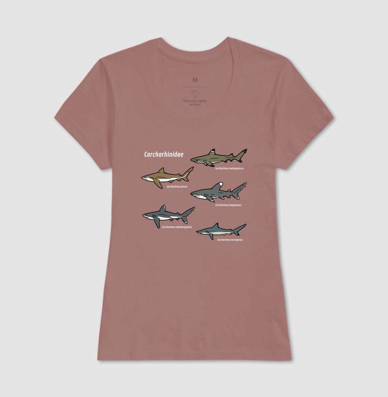 Carcharhinidae - Imagem 22