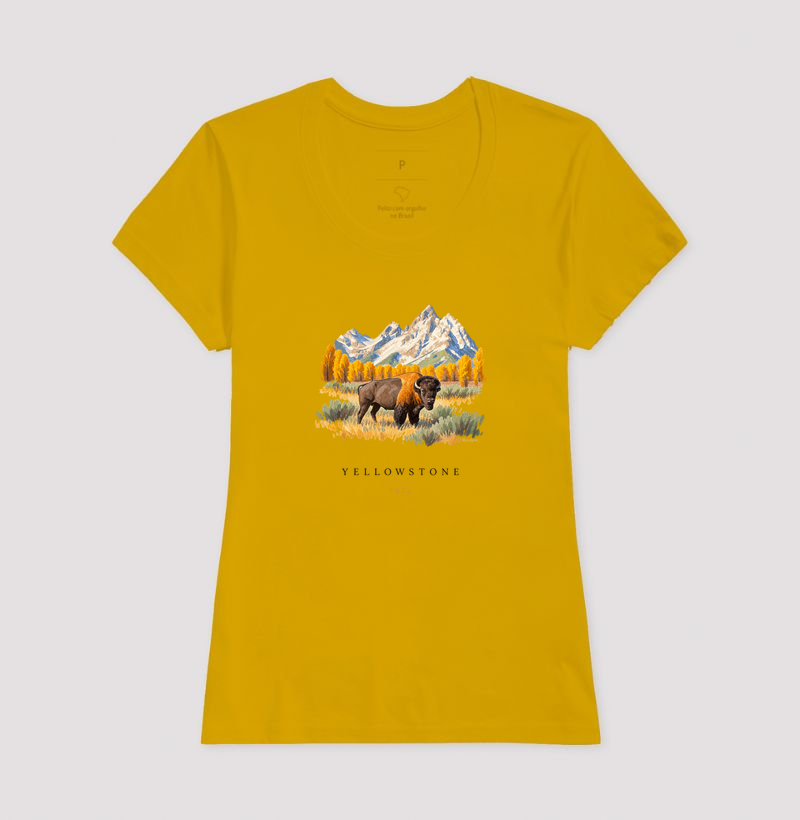 Bison - Yellowstone - Imagem 15