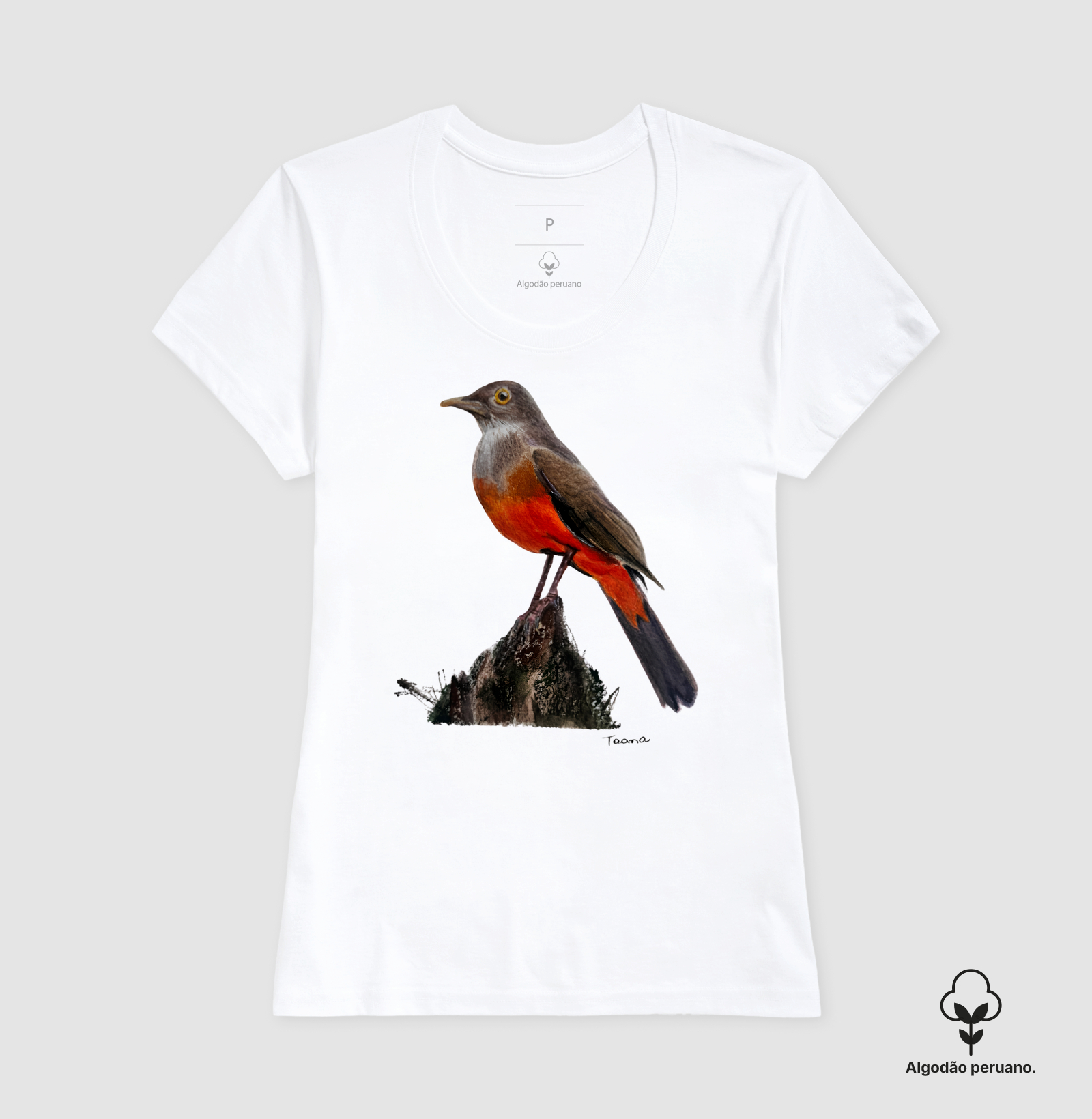Camiseta Sabiá-Laranjeira – Aves do Brasil - Algodão Peruano - Imagem 8