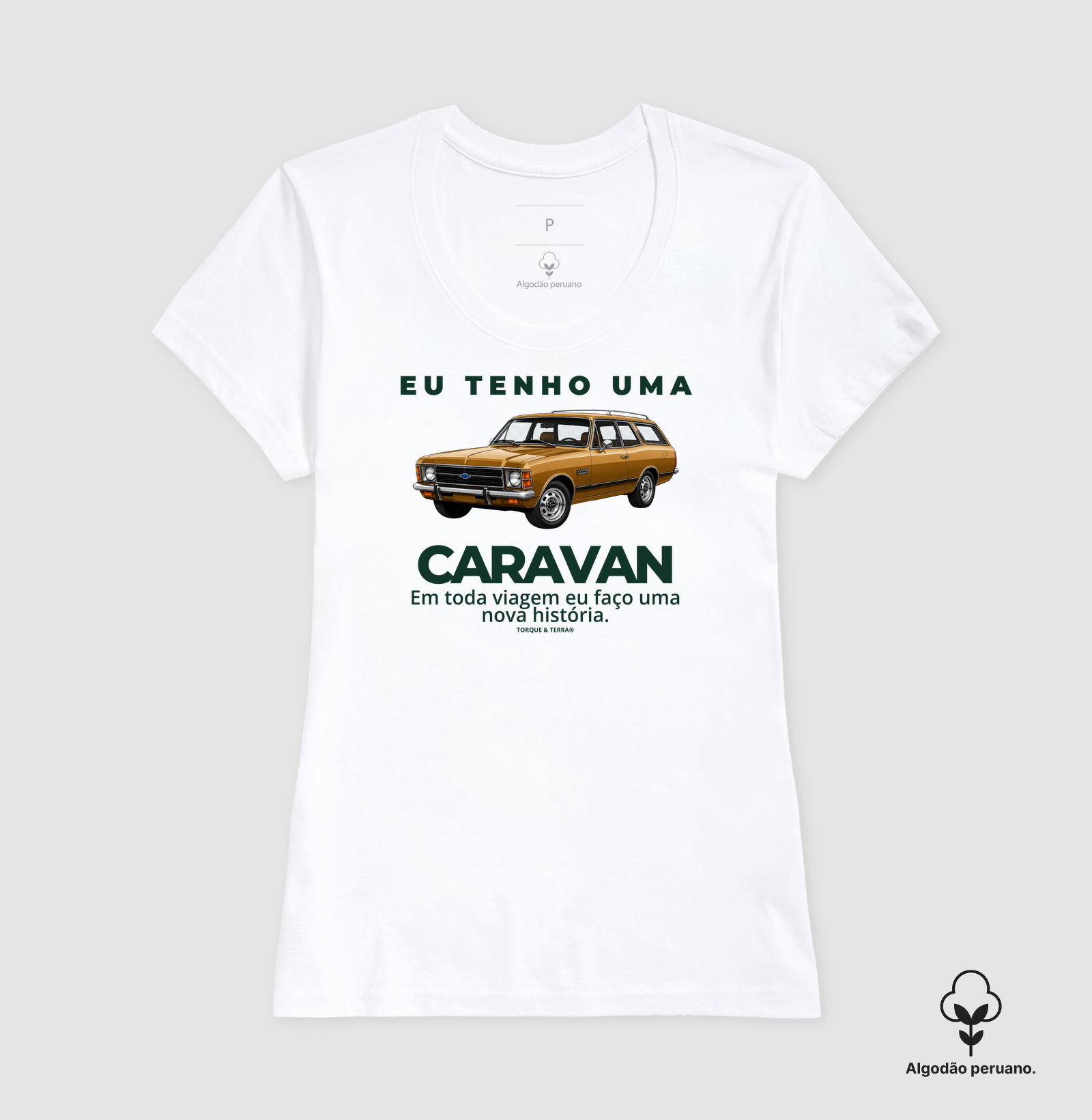 Eu tenho uma caravan ocre - Imagem 6