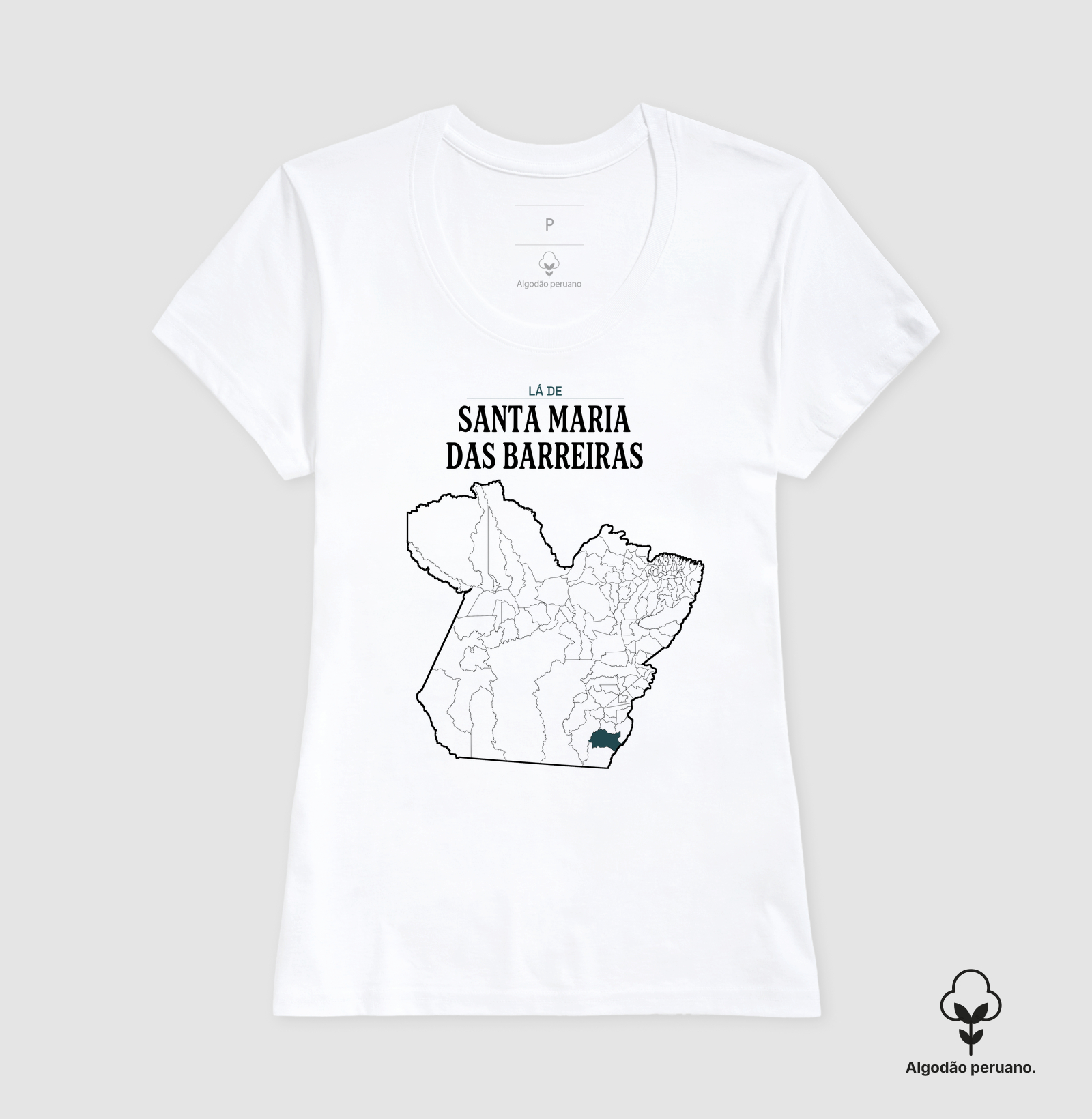 Santa Maria das Barreiras | Território PA - Imagem 7