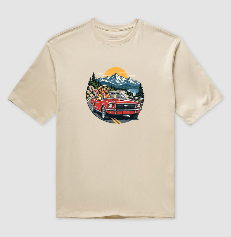 Road Trip - Imagem 3