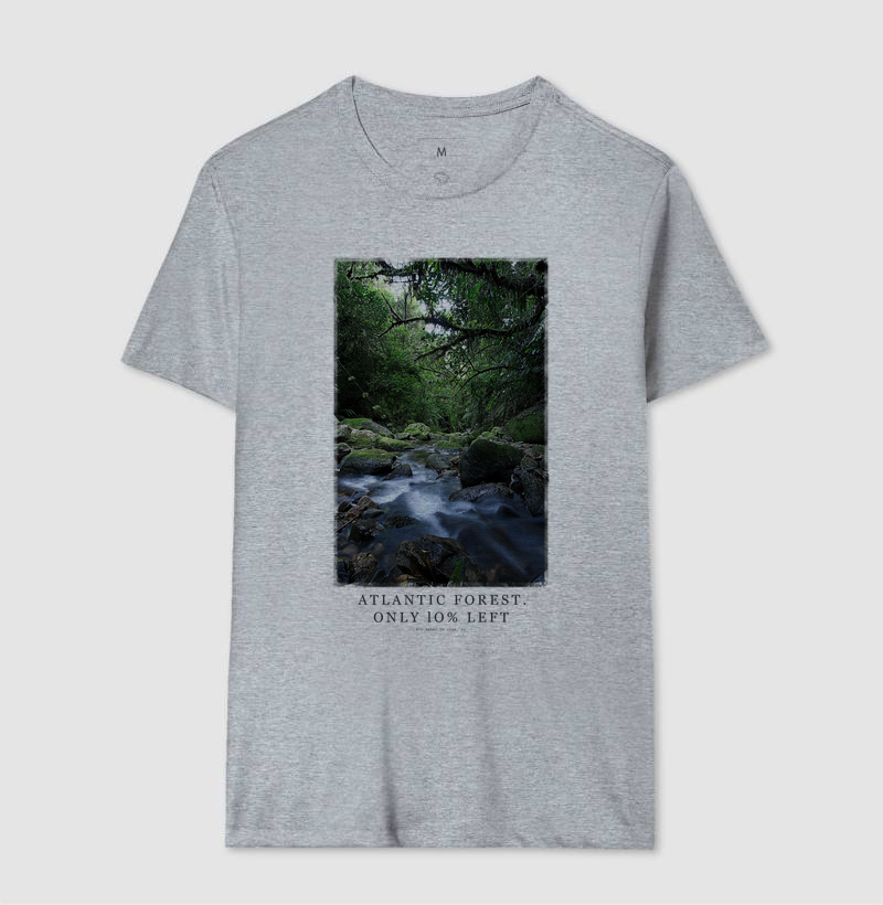 Atlantic Forest - Imagem 4