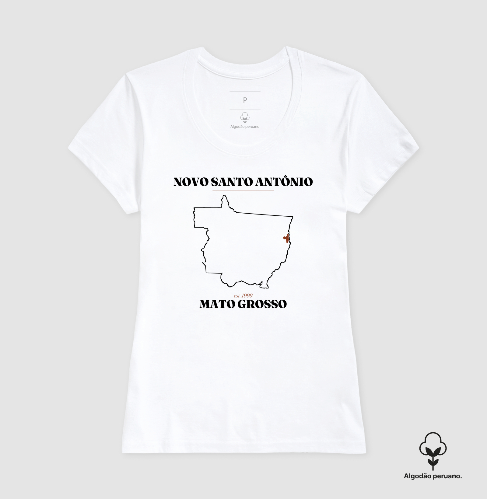 Novo Santo Antônio | Legado MT - Imagem 6