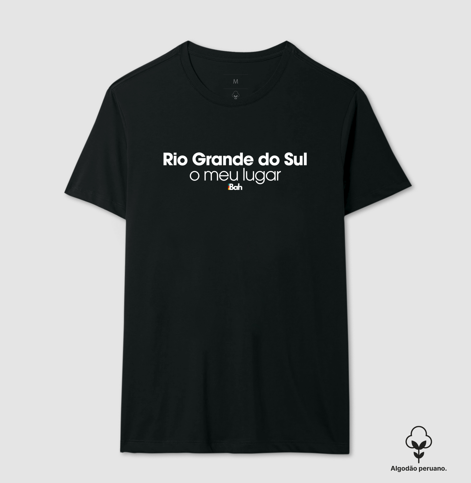 Rio Grande do Sul o meu lugar - Imagem 4